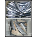 Frozen spanish mackerel for sale steak